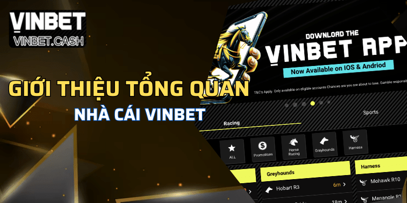 Giới thiệu tổng quan về nhà cái Vinbet