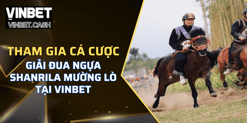 Trải nghiệm Giải đua ngựa Shanrila Mường Lò tại Vinbet