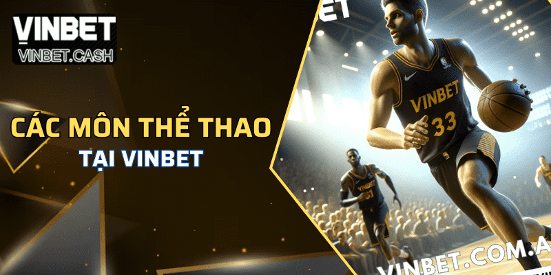 Các môn thể thao đánh giá tại website Vinbet