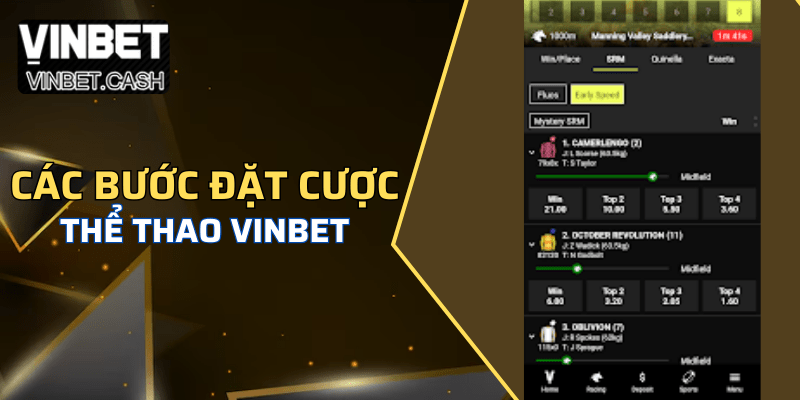 Bước đặt mua vé cược thể thao Vinbet