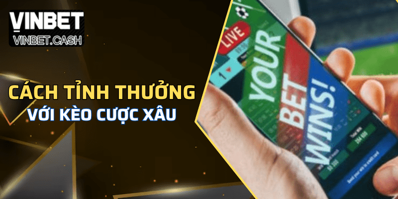 Cách tỉnh thưởng khi thắng cược xâu là gì