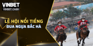 Khám phá thông tin về đua ngựa Bắc Hà