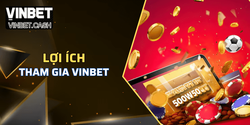 Tổng hợp lợi ích khi tham gia nhà cái VINBET